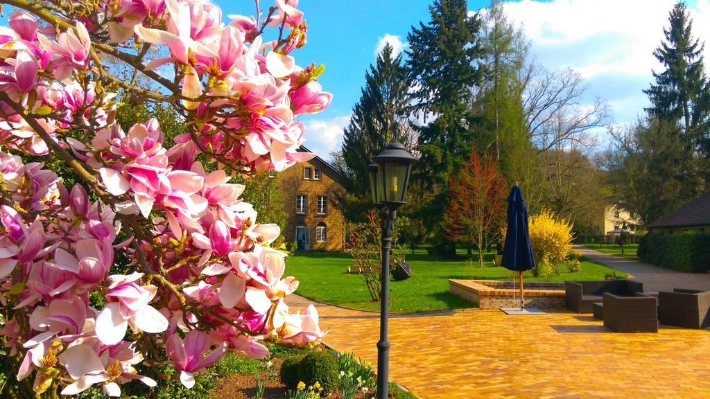 Menschels Vitalresort Meddersheim Екстериор снимка